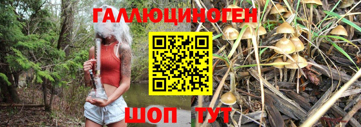 Псилоцибиновые грибы Cubensis  Псилоцибиновые грибы MAGIC MUSHROOMS  Вольск  Вход с VPN 