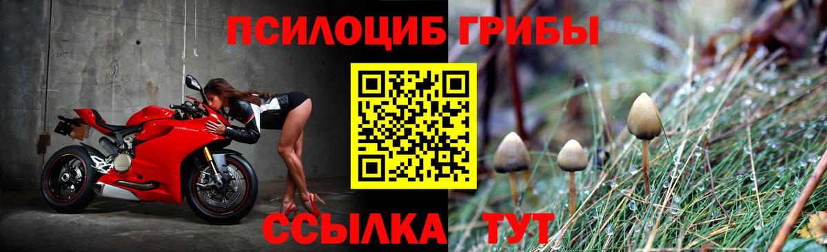 Галлюциногенные грибы мухоморы Вольск